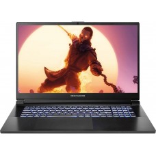 Ноутбук Dream Machines RG4050-17 17.3FHD, Intel i5-13500H, 16, F500GB, NVD4050-6, DOS, чорний